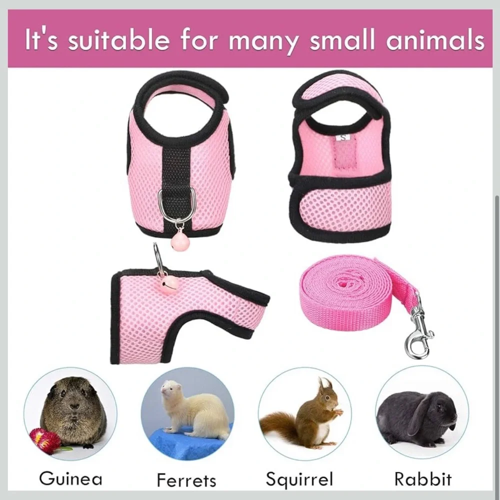 Small Pet Harness and Leash Set - Blue and Pink